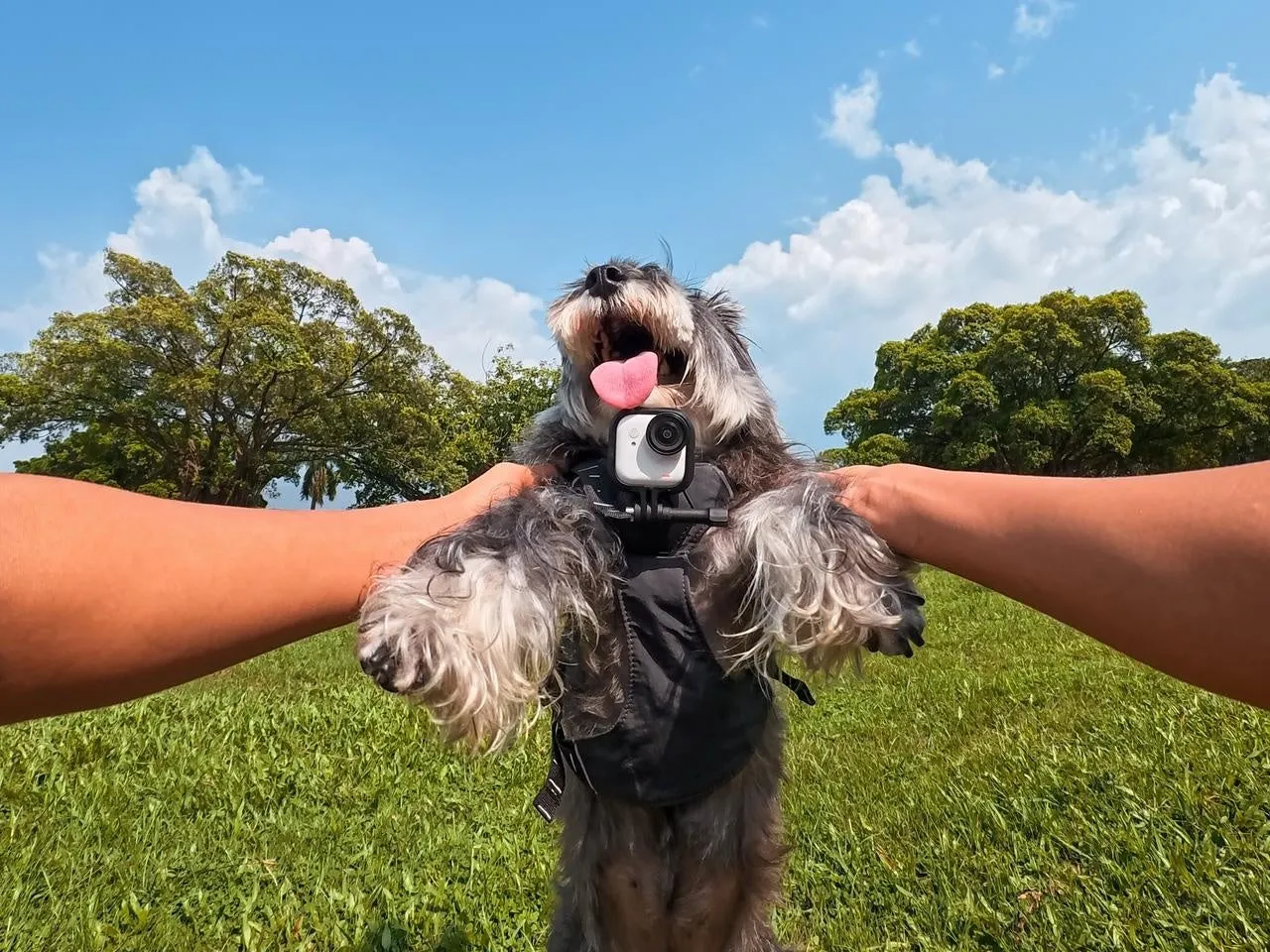 Insta360 GO Ultra 使用イメージ1