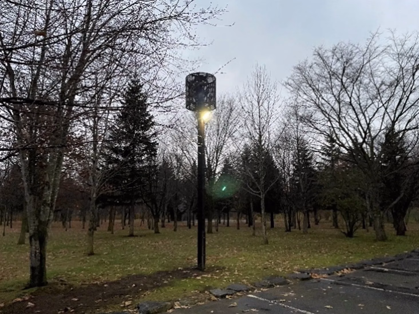 ノーザンホースパーク内の街灯が立つ公園の風景