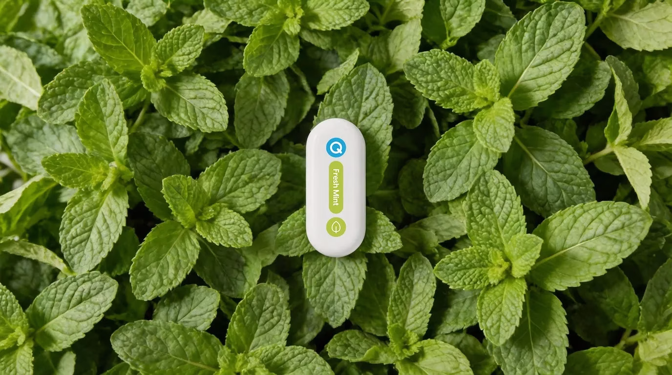 ミントの葉の上に置かれた白い製品のクローズアップです。製品には「Fresh Mint」というテキストが表示されています。