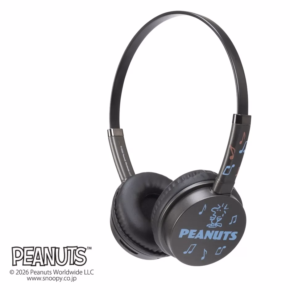 ブラックモデルの側面