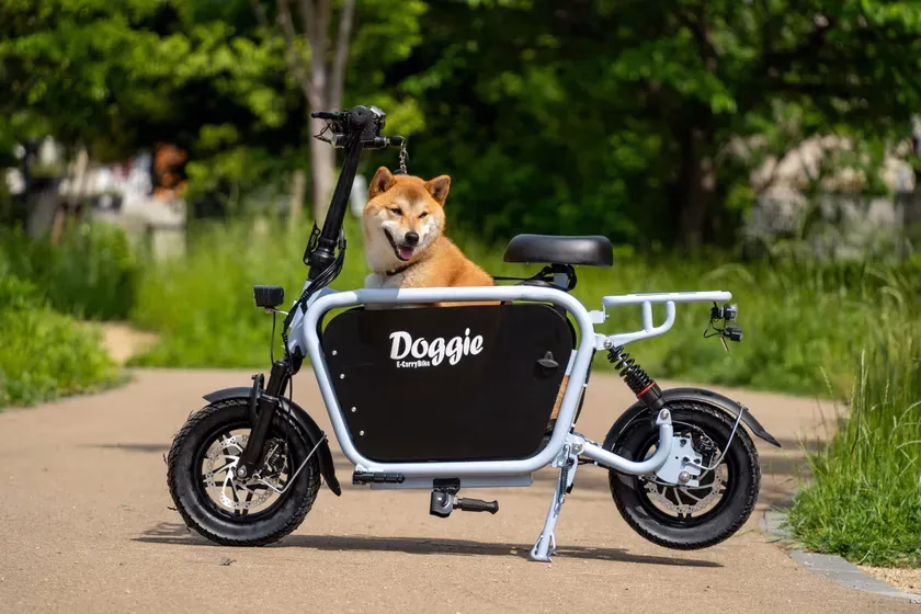 Doggie_Liteに乗る犬と飼い主